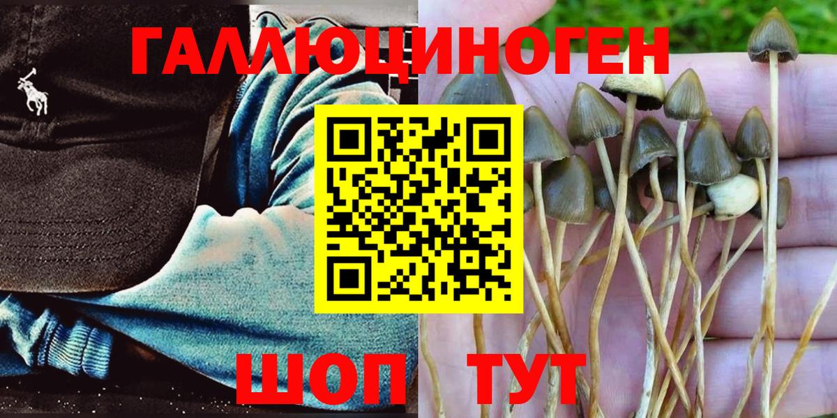 Галлюциногенные грибы мицелий  Вход с VPN  Усинск 