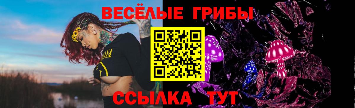 Галлюциногенные грибы GOLDEN TEACHER Усинск